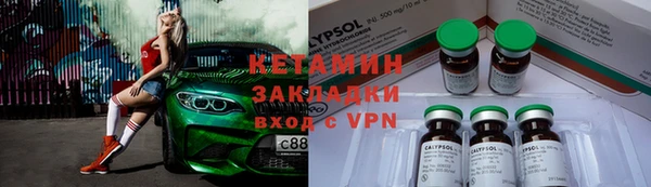 трава Белокуриха