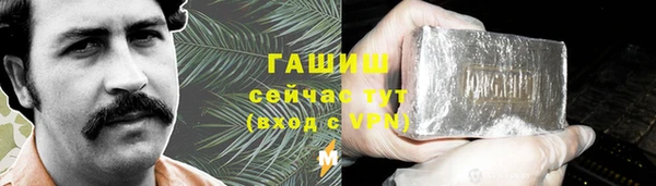 индика Беломорск