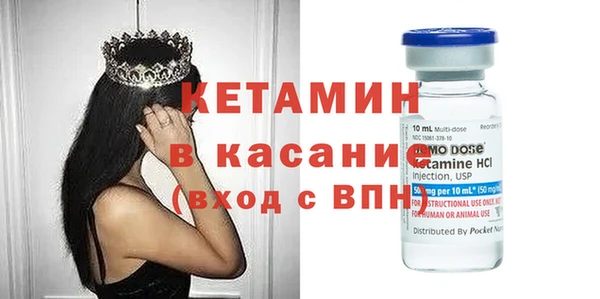 индика Беломорск