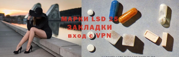 трава Белокуриха