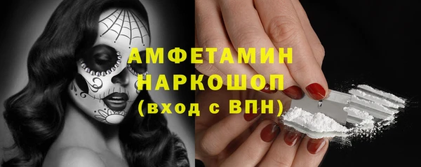 индика Беломорск
