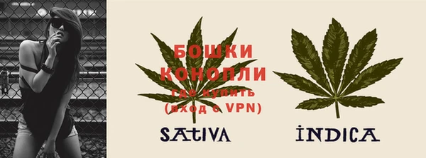 трава Белокуриха
