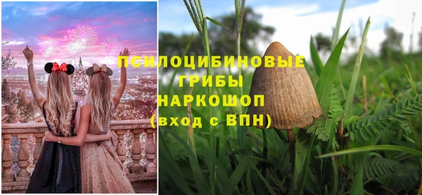 трава Белокуриха
