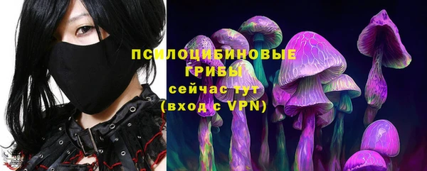 индика Беломорск